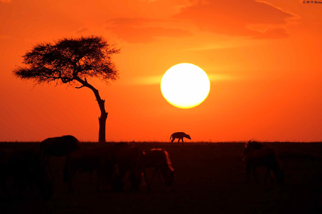 Vuelos a Kenia