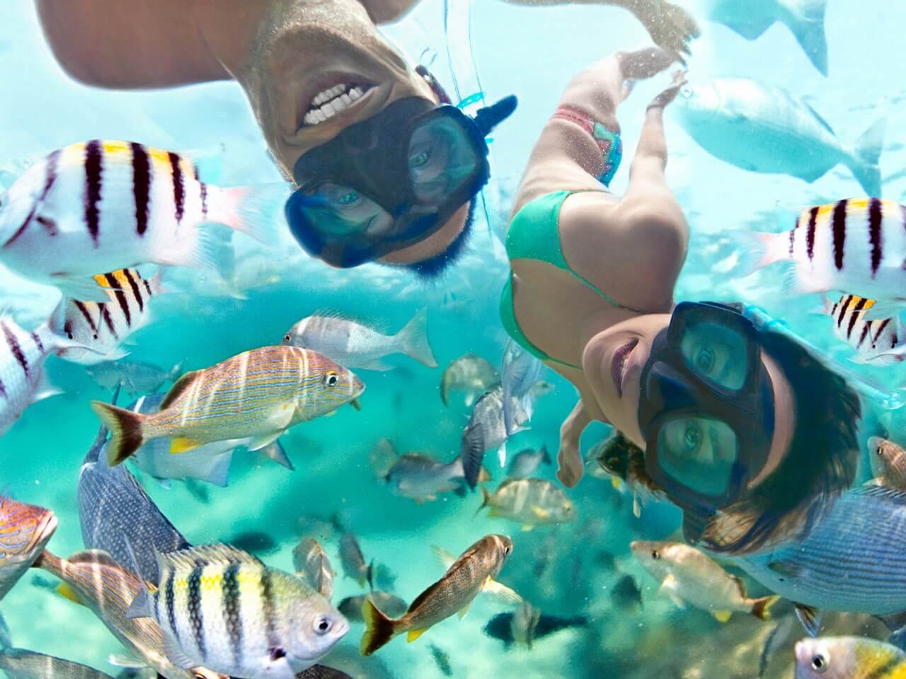 Saca tu licencia de buceo en Mahahual ¡y sumérgete a la aventura!