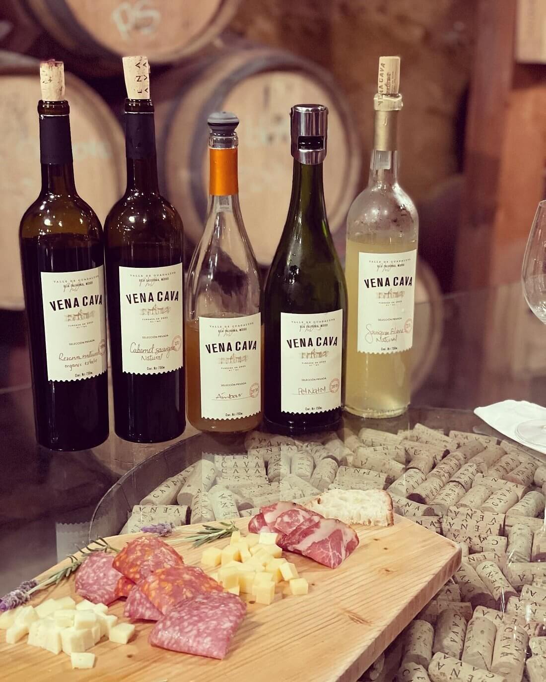 CONOCE LA RUTA DEL VINO