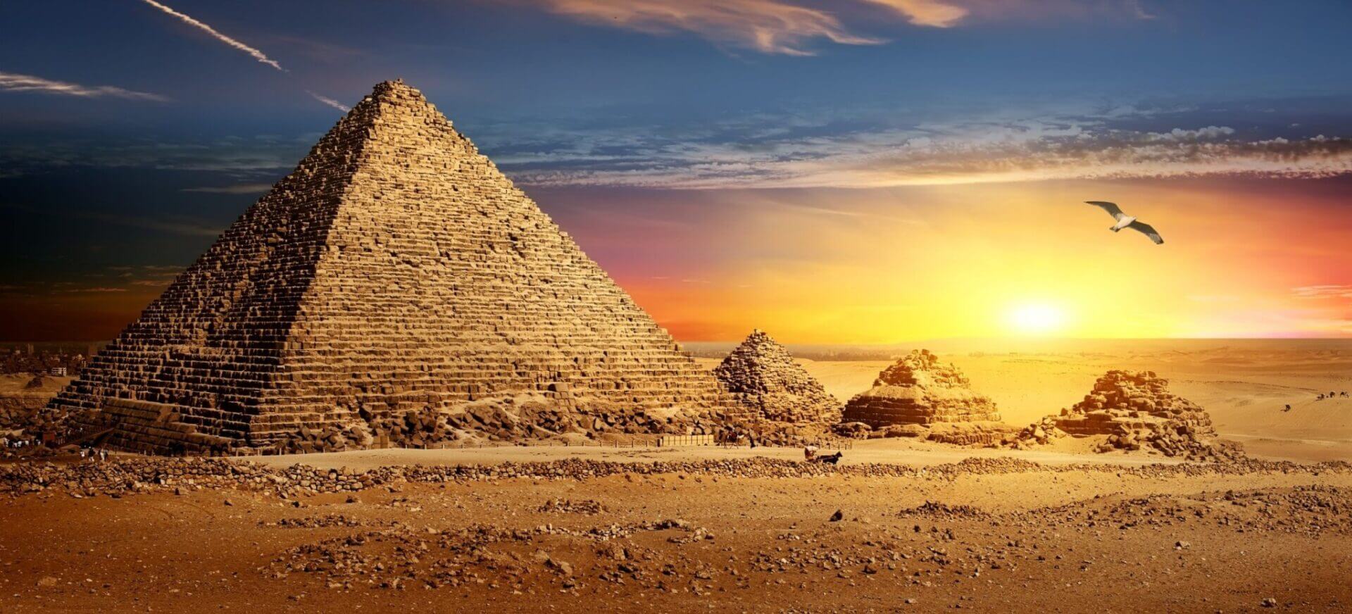 Egipto Local Top