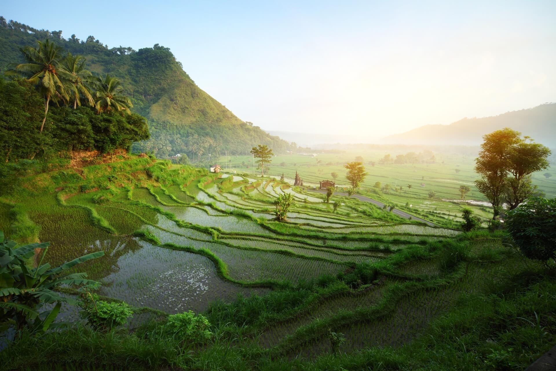 Tour maravillas de Bali durante 8 días desde ,341 pesos por persona ¡Incluye hospedaje, traslados, guías y más! Fechas en verano