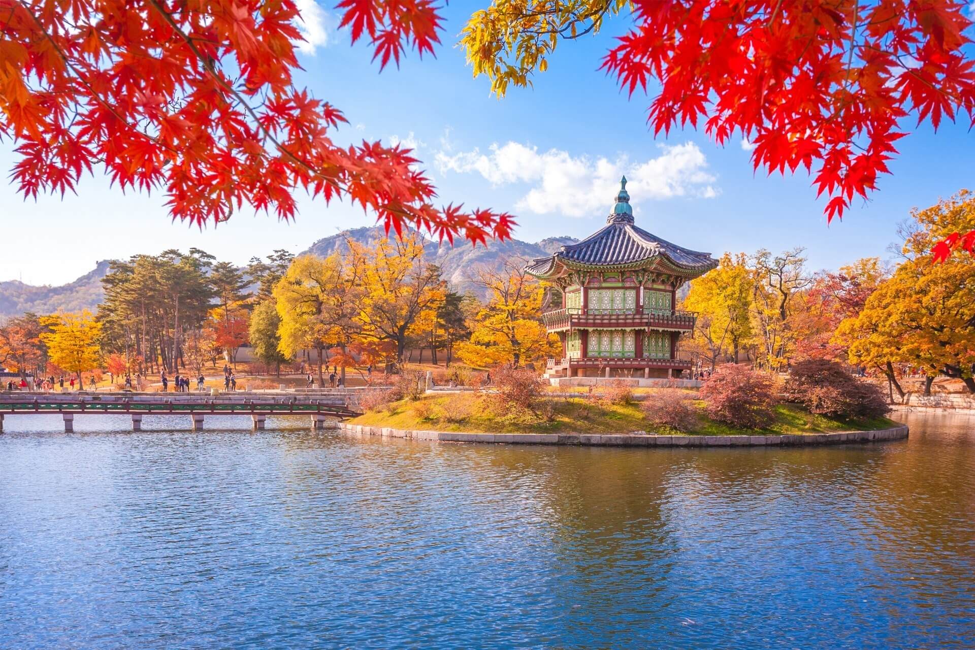 Aventura Coreana