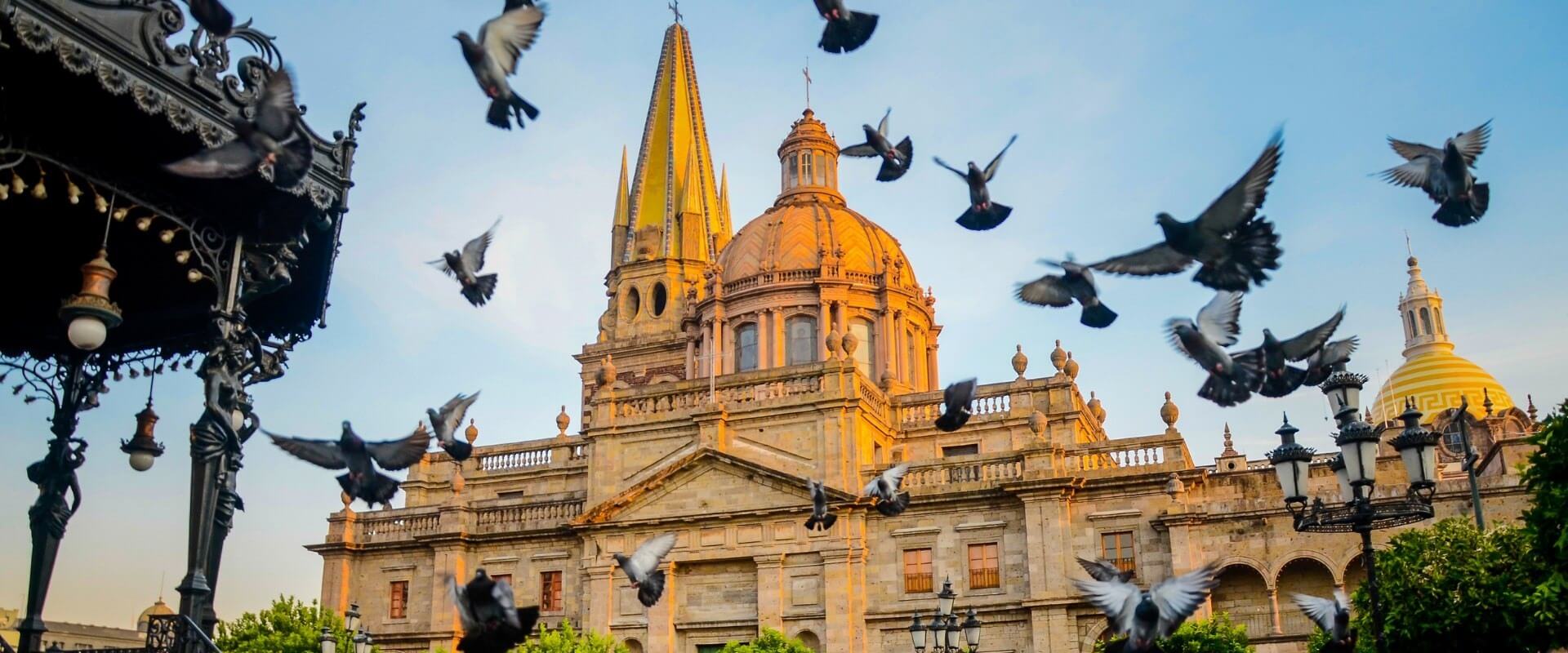 Paquete a Guadalajara