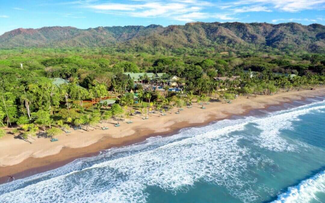 Barceló Tambor