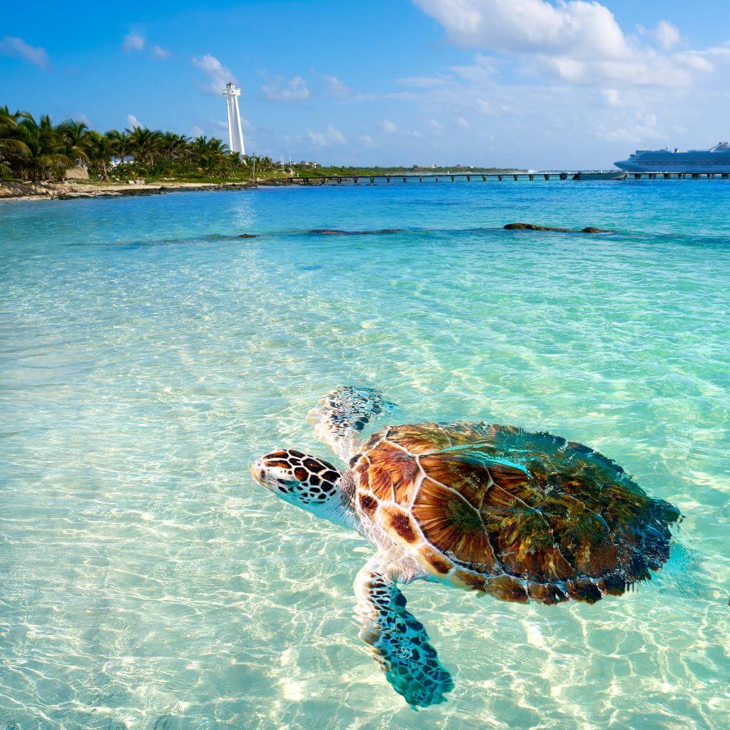 Mahahual Costa Maya: 10 formas de disfrutar este hermoso pueblo - Vuela ...