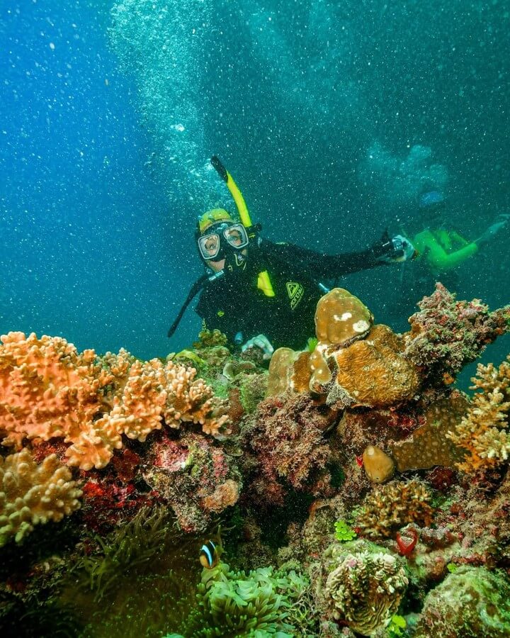 Gran Barrera del Coral