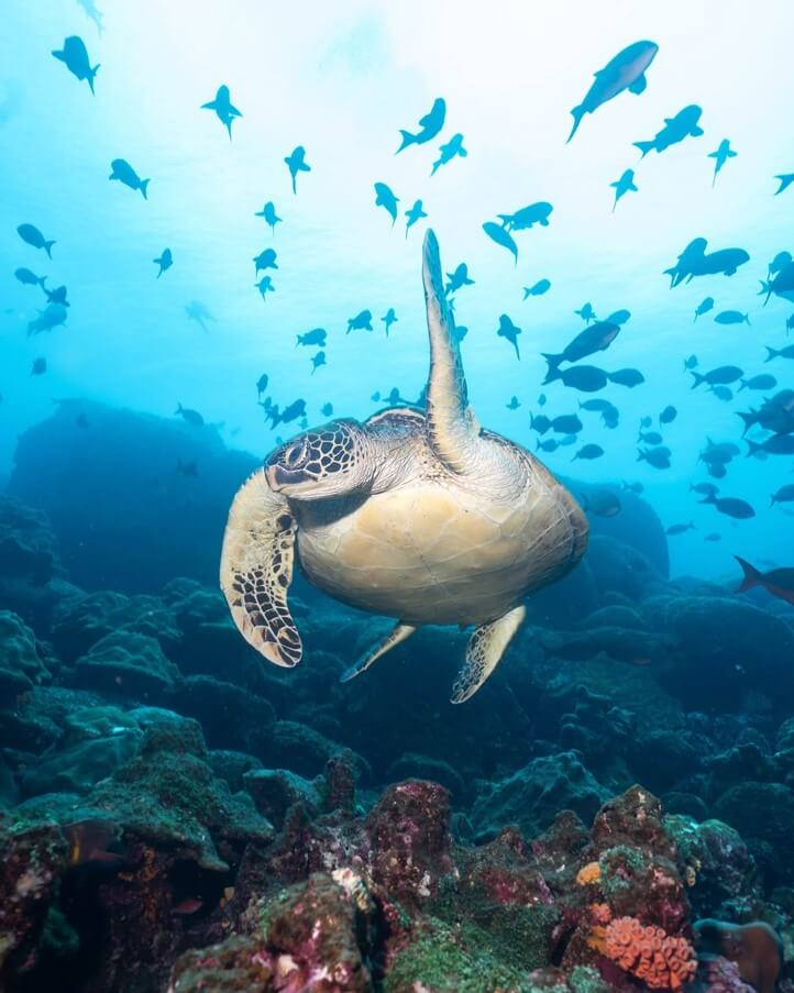 Islas Galápagos