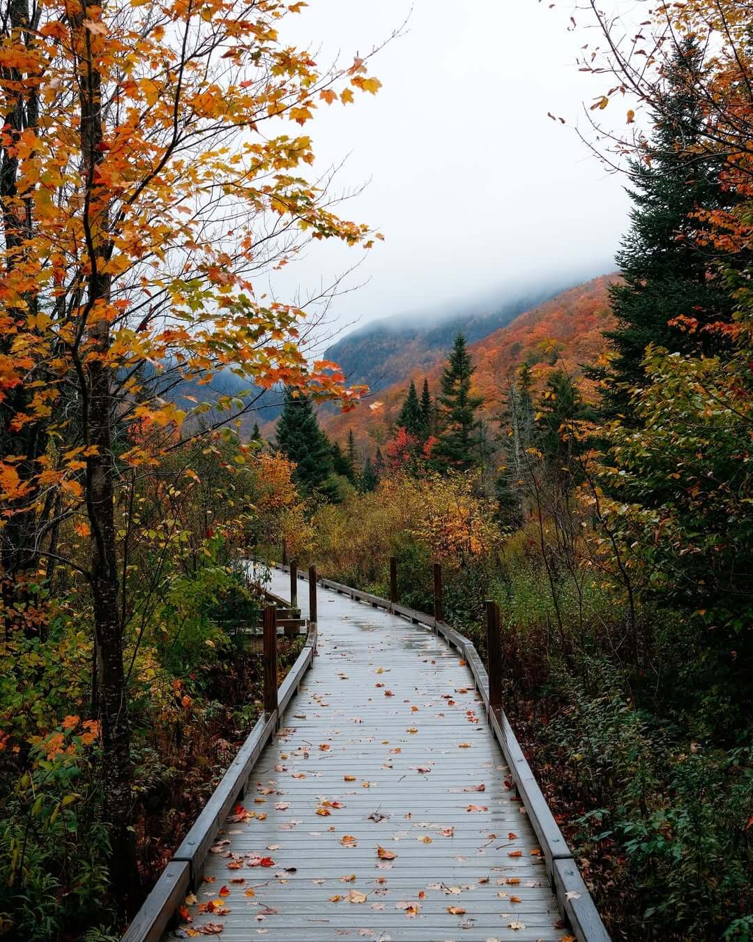Vermont